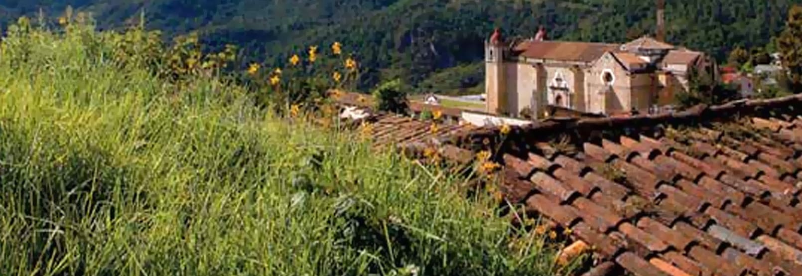RUTA DE ECOTURISMO SIERRA DE JUÁREZ EN OAXACA
